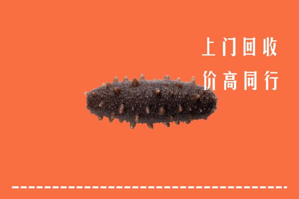 阳泉市城区回收海参