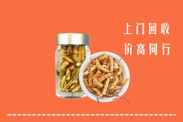 阳泉市城区回收冬虫夏草