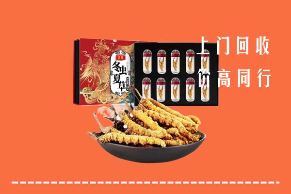 阳泉市城区回收虫草
